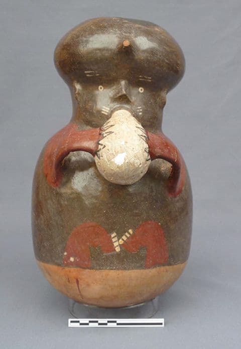 Exposición